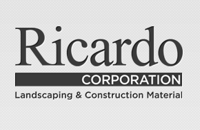 ricardologos3