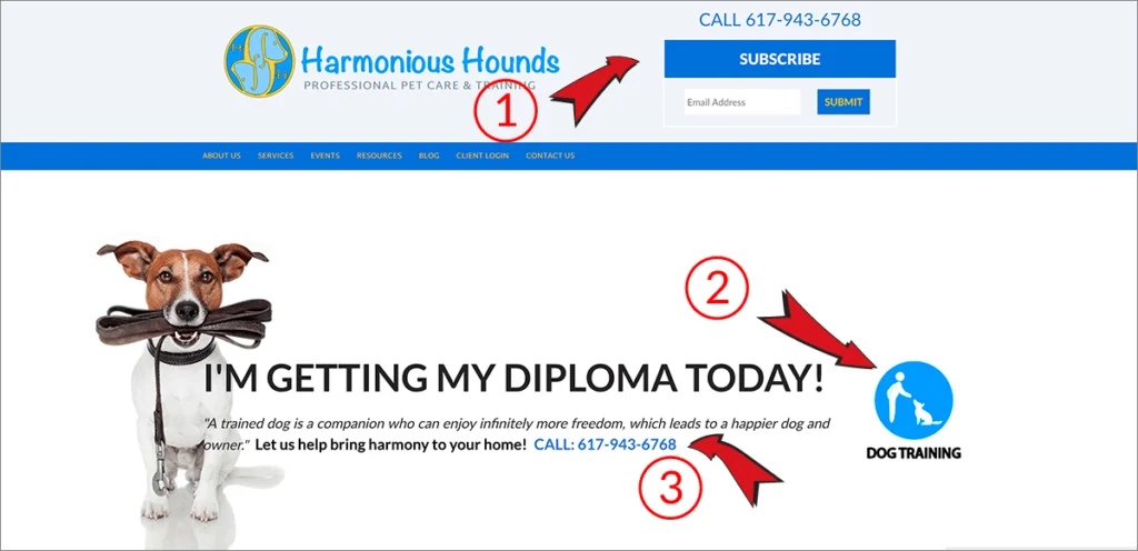 Homepage designs that are SEO friendly